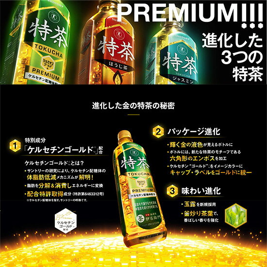 特茶 サントリー SUNTORY 伊右衛門 特茶 TOKUCHA PREMIUM ケルセチン配糖体配合 500ml PET 手売り用 × 1ケース セット 24本入り ペット トクチャ 特保 トクホ 特定保健用食品 お茶 送料無料 mashimo-10012750 酒宝庫 MASHIMO サンプル画像2