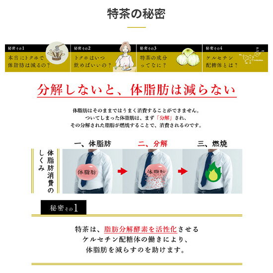 [期間限定ポイント6倍] 特茶 サントリー 伊右衛門 特茶　ジャスミン》×《特茶　カ...