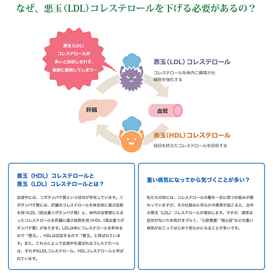 ����ȥ꡼ �˱�����ץ饹 ���쥹�ƥ������к� 500ml�ڥåȡ�24�ܡ�1�������˥��å� ��ǽ��ɽ������ ����̵��