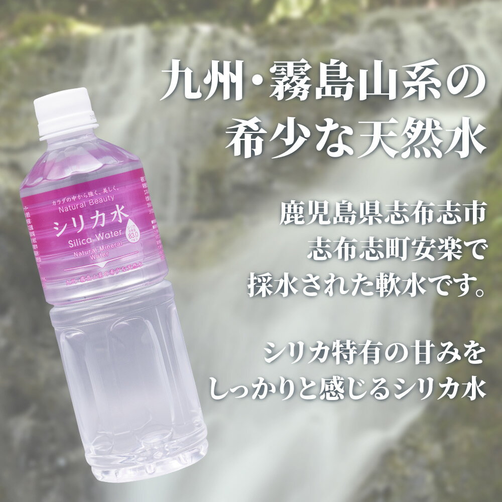 サンプル画像3