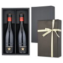 〔ギフト包装付・タイプB〕ビール 4.8度 イネディット750ml 2本セット ギフトBOX入り 贈り物 ギフトにもオススメ 〔送料無料〕