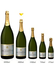 〇シャンパーニュ ドゥラモット ドゥラモット ブリュット [NV] 3000ml 白泡 Champagne DELAMOTTE Delamotte Brut