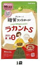 〔賞味期限2025年6月27日〕サラヤ ラカントS 顆粒 600g 1袋 人工甘味料、着色料 無添加!〔訳アリ〕〔割引〕〔現品限り〕
