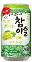 〔賞味期限2026年4月28日〕眞露 チャミボール マスカット 350ml缶×1本 〔訳アリ〕〔割引〕〔現品限り〕