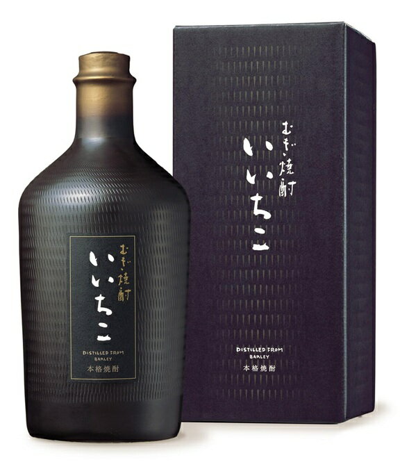 焼酎 いいちこ民陶くろびん 25度 大分県 720ml