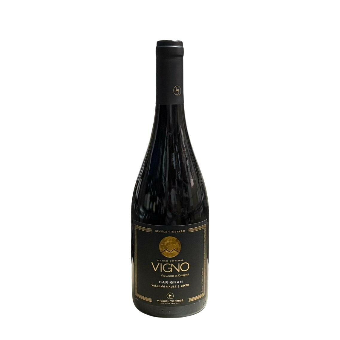 ミゲル トーレス コルディエラ カリニャン ヴィーニョ [2020] ml [掘り出し特価]Miguel Torres Cordillera Carignan Vinho