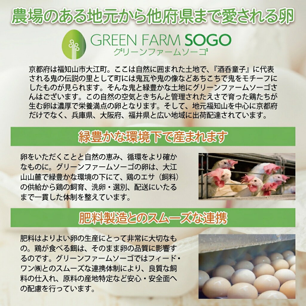 酒宝庫 MASHIMOのたまご グリーンファームソーゴ 卵どすえ 10個入 3パックセット GFS 京都産 玉子 たまご 鶏卵 送料無料｜アングル3