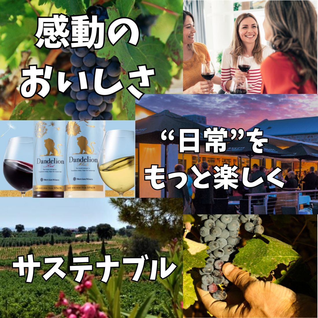 赤ワイン メルシャン ワインズ ダンデライオン レッド 720ml ペット 12本 1ケースセット 送料無料 id取寄 mashimo-10051927 酒宝庫 MASHIMO サンプル画像2