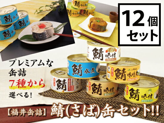 福井缶詰 7種類から選べる!鯖(さば)缶12個セット 鯖缶