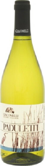 ジャコメッリ / パドゥレッティ　［2024］　750ml　白　PADULETTI