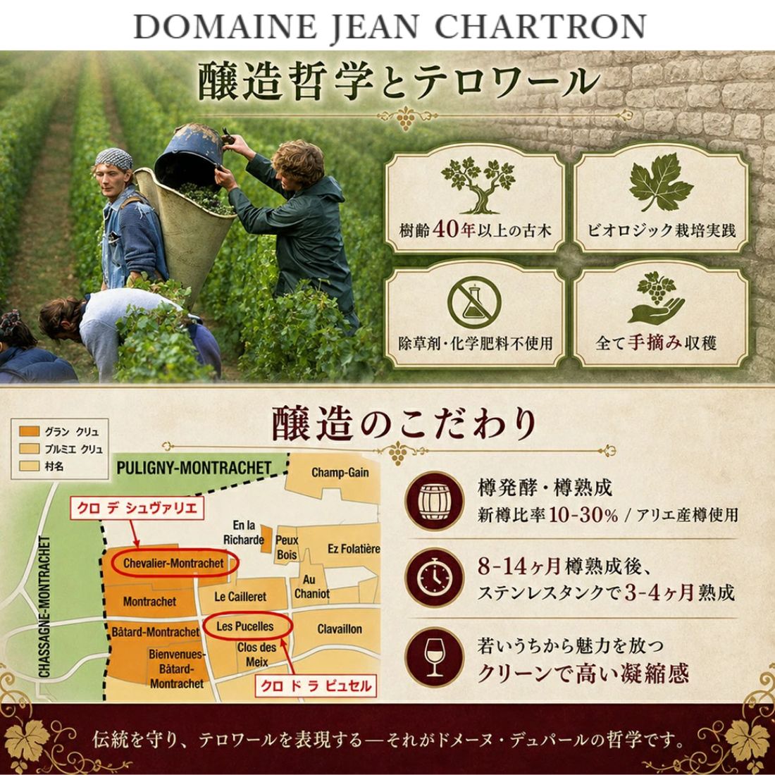 ジャン シャルトロン ル クレマン ド ジャン ブラン ド ブラン [2023] 750ml 白JEAN CHARTRON LE CREMANT DE JEAN BLANC DE BLANCS mashimo-10043793 酒宝庫 MASHIMO サンプル画像3