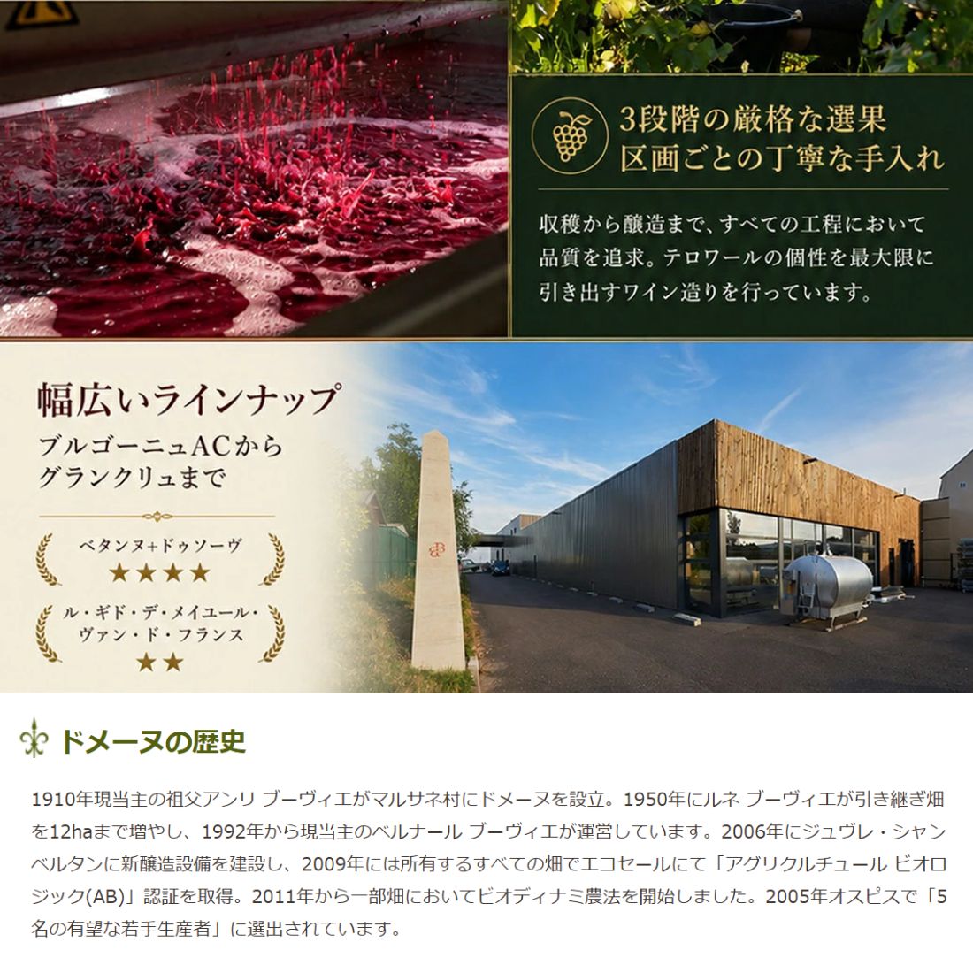 ドメーヌ ルネ ブーヴィエ シャンボール ミュジニー ヴィエイユ ヴィーニュ [2023] 750ml 赤DOMAINE RENE BOUVIER CHAMBOLLE MUSIGNY VIEILLES VIGNES mashimo-10044444 酒宝庫 MASHIMO サンプル画像3