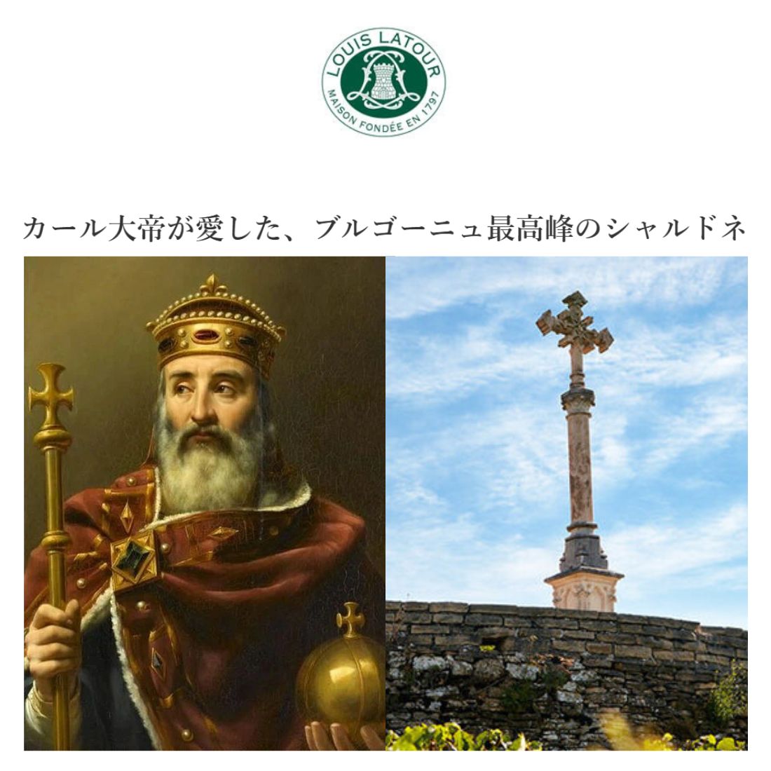 ルイ ラトゥール ブルゴーニュ キュヴェ ラトゥール ブラン [2024] 750ml 白LOUIS LATOUR BOURGOGNE CUVEE LATOUR BLANC mashimo-10039174 酒宝庫 MASHIMO サンプル画像3