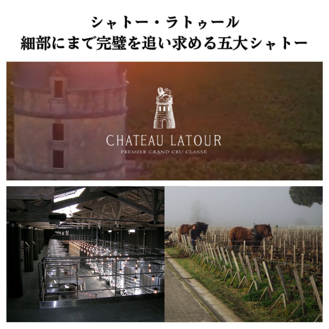 シャトー ラトゥール [2014] 750ml 赤Chateau Latour mashimo-10049990 酒宝庫 MASHIMO サンプル画像2