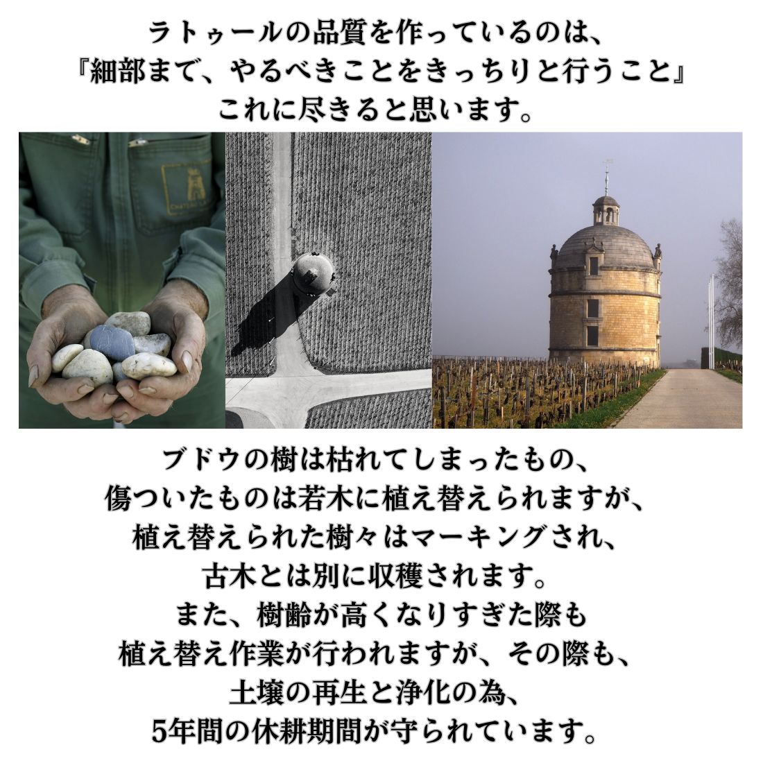 シャトー ラトゥール [1998] 750ml 赤Chateau Latour mashimo-10055393 酒宝庫 MASHIMO サンプル画像3