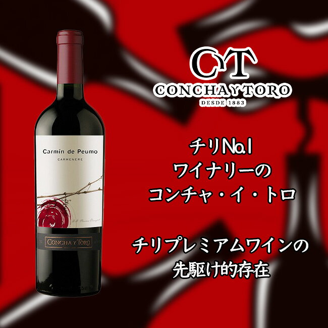 再入荷 トロ イ コンチャ カルミン 敬老の日 サケ 酒 プレゼント ギフト 神の雫 2629ct フルボディ 赤ワイン ヴァレー セントラル チリ Nl 750ml ペウモ デ 赤ワイン Www Williamssound Com