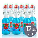 ラムネ瓶 ラムネジャパン 200ml12本 ビー玉栓 炭酸 らむね びん