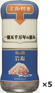 エスビー ミル付岩塩 40g×5本