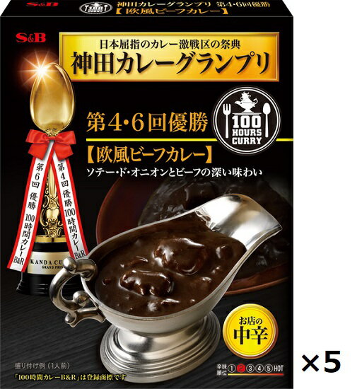 エスビー 100時間カレー B&R欧風ビーフカレー ≪中辛≫ 180g 5個