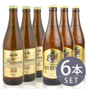 瓶ビール中瓶6本セット / アサヒ熟撰 ×3本・サッポロエビス×3本　500ml×6本セット　送料無料