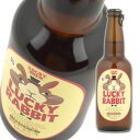 ビール ラッキーラビット 330ml 瓶×1本 黄桜 数量限定 兎年ラベルLUCKY RABBIT