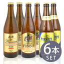 瓶ビール中瓶6本セット / アサヒ熟撰 ×2本 サッポロ エビス×2本 サントリー プレミアムモルツ×2本 500ml×6本セット 送料無料