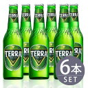 瓶ビール 眞露 TERRA テ