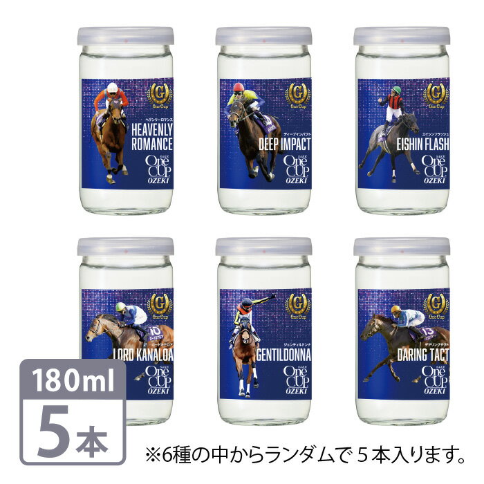 日本酒 上撰ワンカップ 大関 180ml 瓶 5本×1パック 感動編 G-OneCup 数量限定