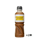 ケンコーマヨネーズ 塩キャラメルバターソース 510g×2本 業務用