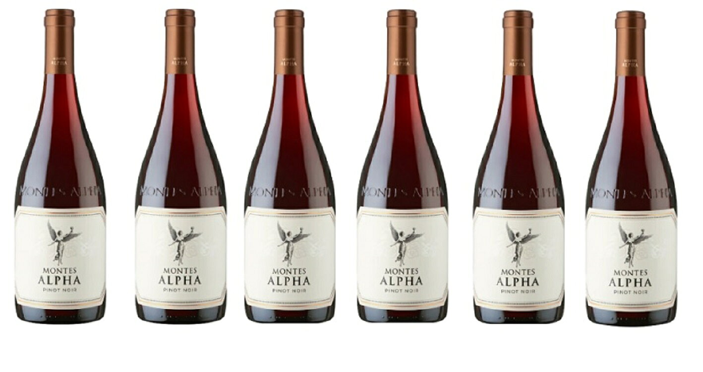 ワインセット モンテス アルファ ピノノワール 750ml 赤 6本セット 送料無料赤ワインワインセット モンテス アルファ ピノノワール 750ml 赤 6本セット 送料無料