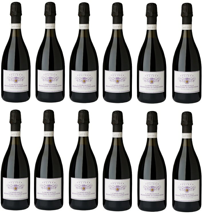 ワインセット カンティーナ ディ ソリエーラ ランブルスコ グラスバロッサ カストロ ヴェトロ 12本セット 750ml 白泡 送料無料 スパークリングワイン,ワインセット,白泡,イタリア
