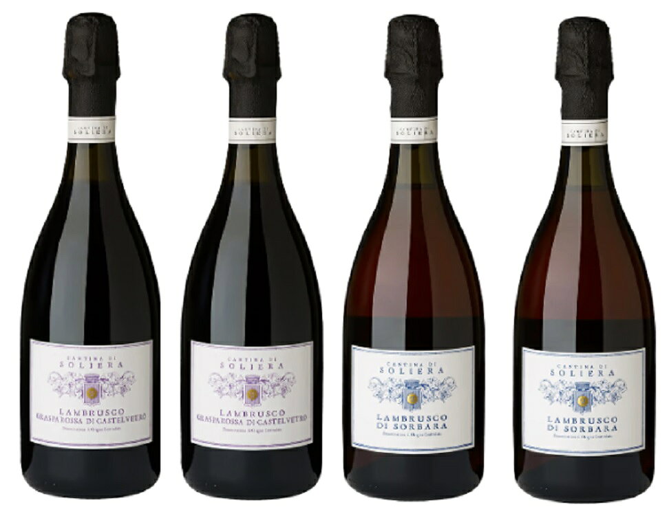 ワインセット カンティーナ ディ ソリエーラ ランブルスコ アソートセット カストロヴェトロ×2&ソルバーラ×2 750ml 4本セット 赤泡 送料無料 スパークリングワイン,ワインセット,イタリア,甘口,辛口
