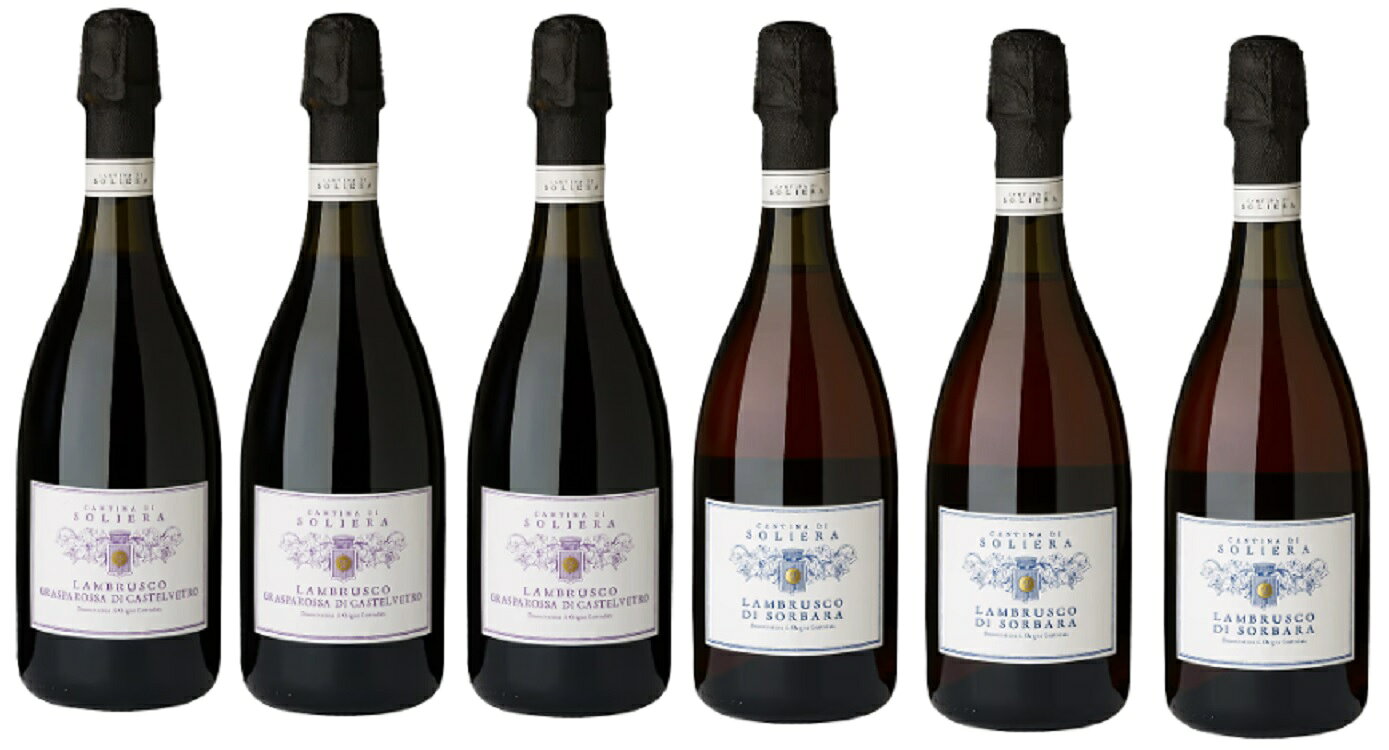 ワインセット カンティーナ ディ ソリエーラ ランブルスコ アソートセット カストロヴェトロ×3&ソルバーラ×3 750ml 6本セット 赤泡 送料無料 スパークリングワイン,ワインセット,イタリア,甘口,辛口