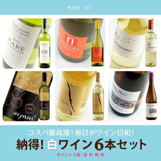 ポイント5倍! / 　酒宝庫MASHIMO　“世界まる呑み”　納得!　白ワイン6本セット　送料無料 /