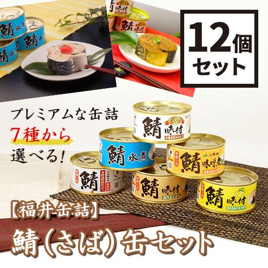 福井缶詰　7種類から選べる！鯖（さば）缶12個セット　鯖缶