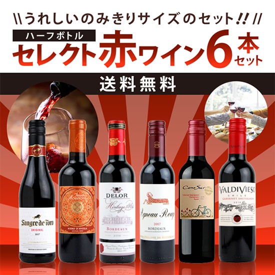 セレクト　ハーフボトルワインセット　赤ワイン　6本セット　375ml×6本　送料無料 /