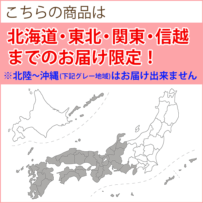 【バレンタイン】宝石苺の贅沢ケーキ『ルビープレミアムショコラ』12cm(4号)・15cm(5号)北海道産オーガニック素材【バレンタイン ケーキ】【バレンタイン　チョコ】【バレンタイン チョコレート】【バレンタイン チョコレートケーキ】格安通販　バレンタイン　人気　ランキング