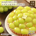 冷蔵届☆シャインマスカットタルト(18cm/14cm)無添加カスタードクリームたっぷり!【楽ギフ_のし】【お土産 パーティー】ぶどう葡萄マスカットバースデーケー...