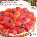 イチゴがどっさり！いちごベリベリータルト無添加カスタードクリーム苺バースデーケーキ・誕生日ケーキ【楽...