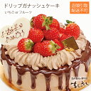 ましゅれ フルーツケーキ 【札幌白石区店舗限定】ドリップガナッシュデコレーション(いちごorフルーツ)※この商品は宅配できません12cm15cm18cm21cm 4号5号6号7号無添加素材の生デコレーションケーキ記念日バースデーケーキ誕生日ケーキイチゴフルーツチョコケーキチョコケーキドリップケーキ