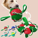 犬 おもちゃ 屋外 投げるおもちゃ ドッグトイ 噛むおもちゃ トレーニング ボール ポータブル 取り出し 口腔清潔 ストレス解消 丈夫 変形可能 安全性 耐久性