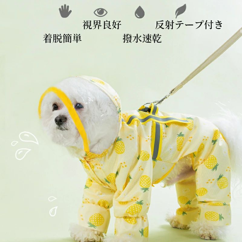 ������̵���۸� �쥤�󥳡��� ������ �淿�� �夻�䤹�� �ݥ���� ���ѥ쥤�󥳡��� ���� ������ɥ֥졼���� �쥤�󥦥��� ���� ���å� ���ܥ��� ��æ��ñ �ɥå������� �ڥå��� ���� �ͤ� ���襤�� �İ��� ������� ���� �߱� ����®�� �꡼��