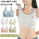 ジュニアブラ 中学生 2点セット キッズブラ ブラジャー ノンワイヤー ハーフトップブラ スポーツブラ ファーストブラ カップ付き 子供用 小学生 高学年 中学...