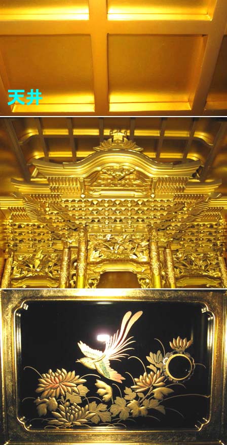 ����̵��!��ʩ�š���ʩ�šա�����20������������