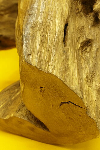 ���������ʪ�ۥ��饹�����硪���Ḷ�ڡ��������ޥ졼�������ڹ��ڡ�