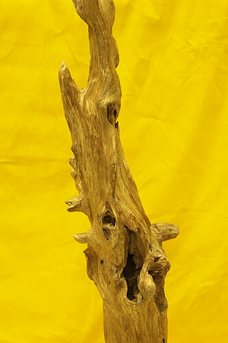 ���������ʪ�ۥ��饹�����硪���Ḷ�ڡ�����������ɥͥ������ڹ��ڡ�