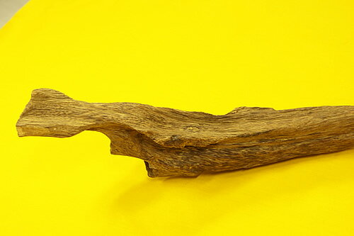 ������ۥ������Ḷ�ڡ��ޥ졼�������ڹ��ڡ�