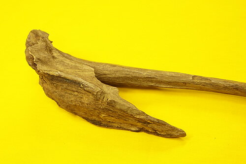 ������ۥ������Ḷ�ڡ��ޥ졼�������ڹ��ڡ�