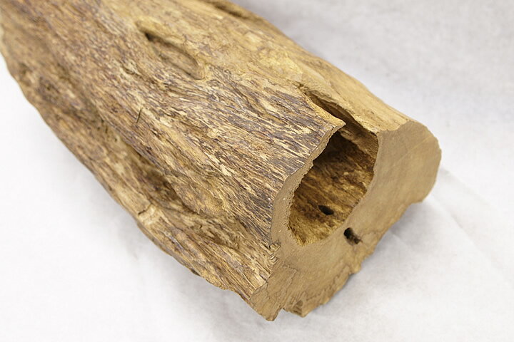 ������ۥ������Ḷ�ڡ��������ޥ졼�������ڹ��ڡ�