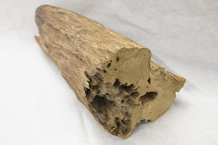 ������ۥ������Ḷ�ڡ��������ޥ졼�������ڹ��ڡ�